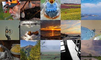 Картина дня