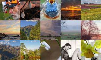 Картина дня