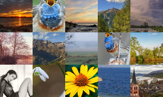 Картина дня