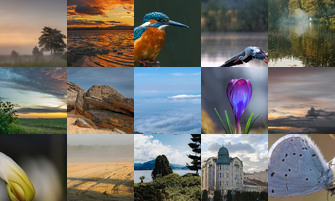 Картина дня