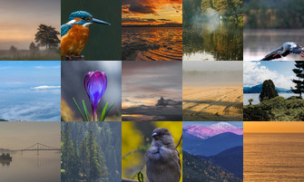 Картина дня