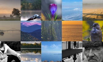 Картина дня