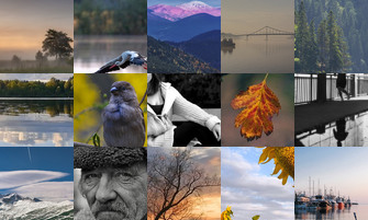 Картина дня