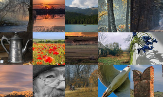 Картина дня