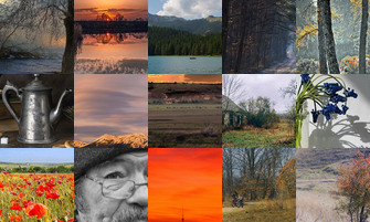 Картина дня