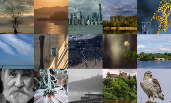 Картина дня