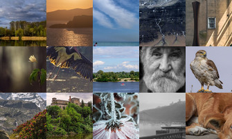 Картина дня