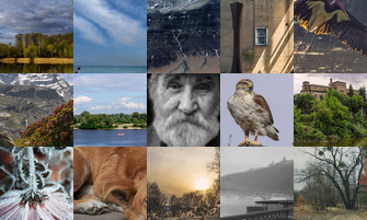 Картина дня