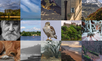 Картина дня