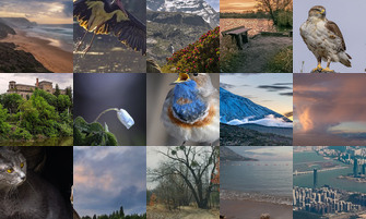 Картина дня