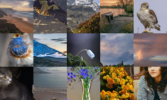 Картина дня