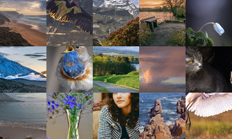 Картина дня