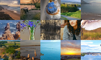 Картина дня